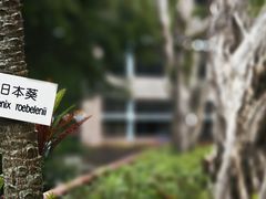 -香港大学