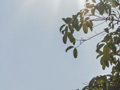 -洋湖国家湿地公园