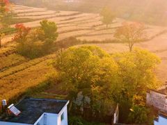 -塔川景区