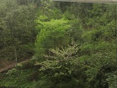 -中铁花水湾温泉酒店(大邑店)
