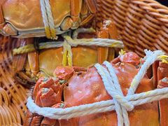 -蟹村草堂·苏式园林人文农家·大闸蟹