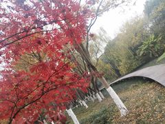 -昆山城市生态森林公园