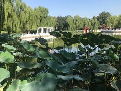 -丰台花园