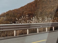 -东白山