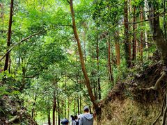 -楠溪江石桅岩
