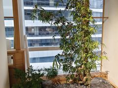 -Fun Job Art 零基础油画国画DIY画室(望京店)