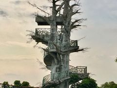 -芒洲湿地公园