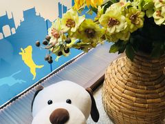 -芭比堂动物医院·犬猫全科·异宠专科(雁塔分院)