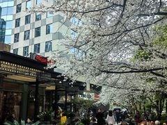 -玛格萝妮比萨屋(四平店)