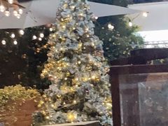 -一棵树·意大利西餐厅One Tree(新城店)