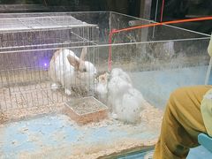 -嘉兴海底世界