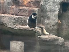 -南昌动物园