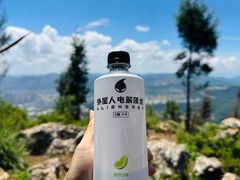 -长虫山生态公园风景林