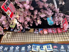 -尺山寸水日料(马桥满天星店)