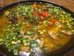 -福照楼汽锅鸡·云南菜(护国路店)