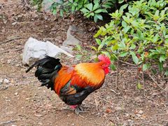 -高荡千年布依古寨旅游景区