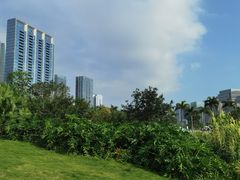 -大梅沙海滨公园