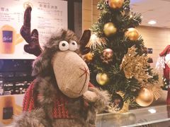 -麦当劳(中山路店)