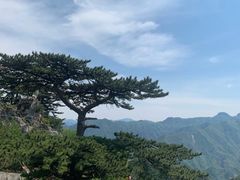 -圣莲山风景区
