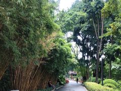 -晓港公园