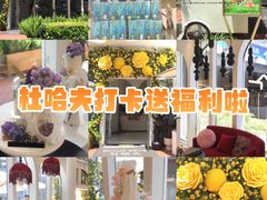 -杜哈夫DOUX RÊVE·生日蛋糕(日月光店)