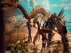 -延庆地质公园博物馆