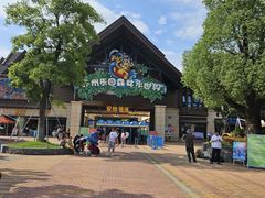 -苏州乐园森林水世界