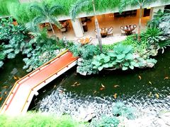 -白天鹅宾馆-宏图府餐厅
