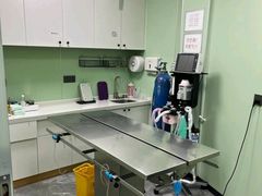 -东莞宠友24H宠物中心医院·转诊夜诊·异宠(新河北路院)