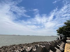 -上海滨江森林公园
