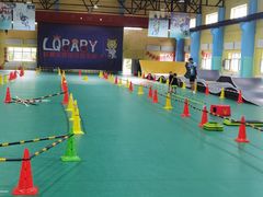 -长春乐奇平衡车儿童体能运动中心