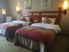 -雅安楠水阁温泉酒店