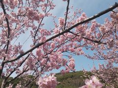 -苏州上方山国家森林公园