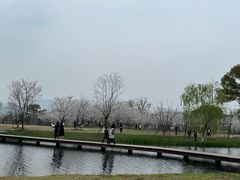 -良渚古城遗址公园