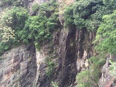 -银瓶嘴森林公园