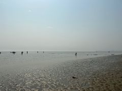 -合肥滨湖国家森林公园