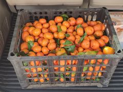 -光猪圈健身(电塔街店)