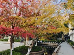 -星巴克(西湖天地店)