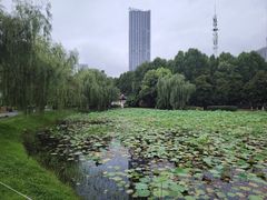 -堤角公园