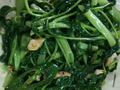 通菜-得福农庄