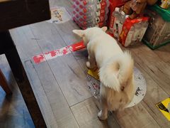 门面-滋味厨房小酒馆(万达广场店)