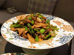 辣椒炒壹号土猪肉-芙蓉十九·新湘菜