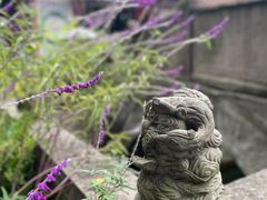 -丰都鬼城名山景区