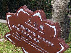 -亚龙湾国际玫瑰谷