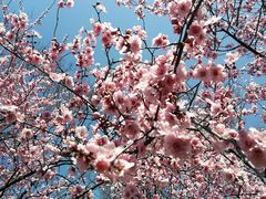 -白塘生态植物园