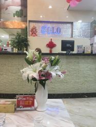 -SOLO Hair Salon