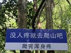 -紫金山山顶公园
