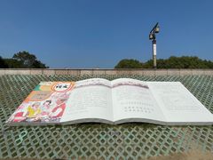 -观潮胜地公园