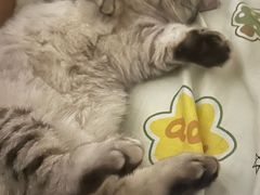 -大桶大足浴(南翔店)