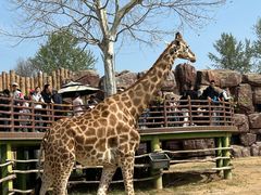 -济南野生动物世界